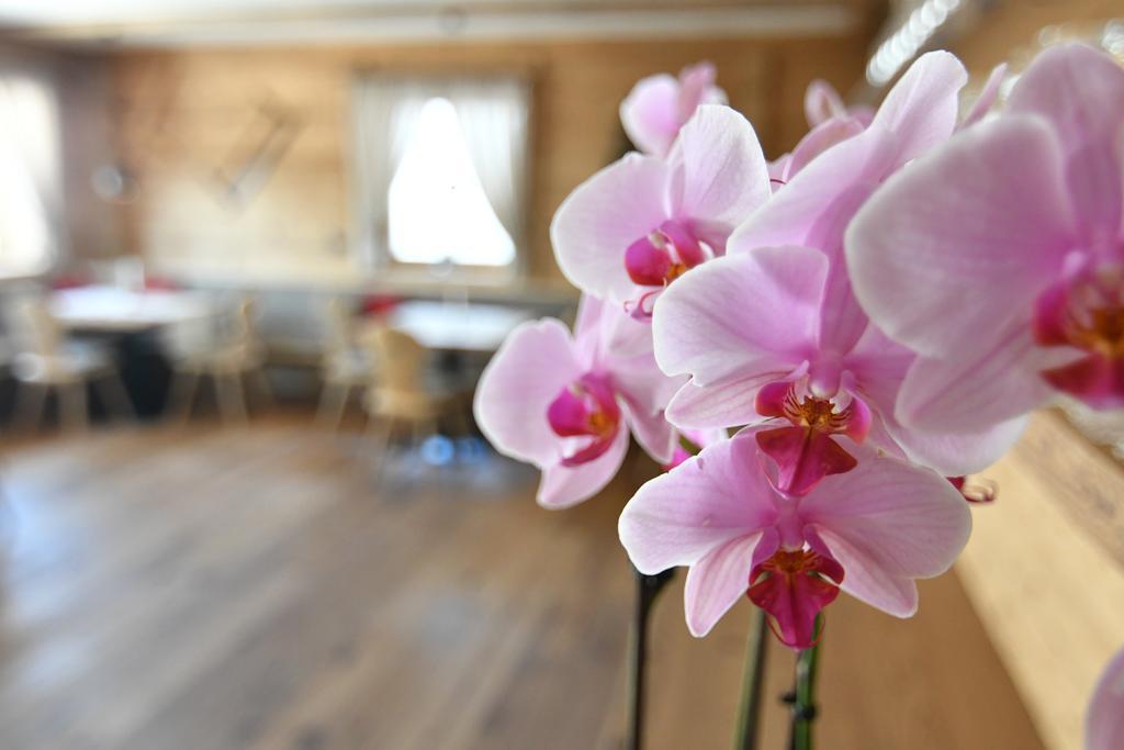Hotel Kristall Maranza Eksteriør bilde